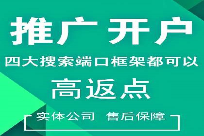 SEM服务助力企业快速增长案例